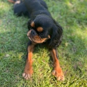 Meet your Posher, Candace